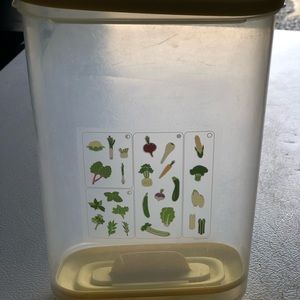 New Fridge smart for Veggies! Fits on the door .